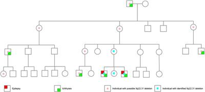 Case report: Sex-specific characteristics of epilepsy phenotypes associated with Xp22.31 deletion: a case report and review